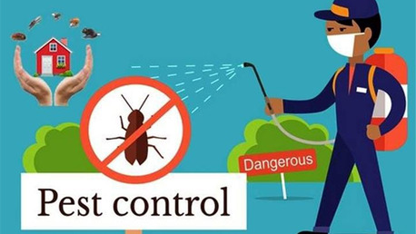 Arabian Ranches, Pest Control, Low Cost Villa Pest Control Arabian Ranches