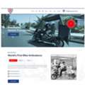 Dynamic & Professional Websites