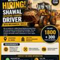 Loader (shawal Driver )(Mechanical Knowledge Also )