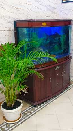 Kabul, Household Items, BHD 10,  Fish Tank