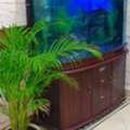 BHD 10,  Fish Tank