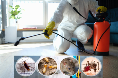 New York, Cleaning, Robbin