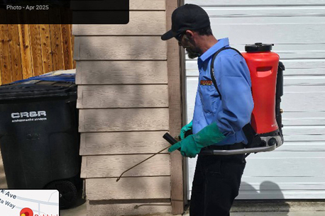 New York, Cleaning, Robbin