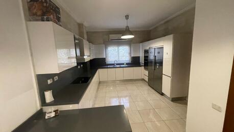 Maadi, Apartments/Houses, USD 3000/month,  Furnished,  3 BR,  300 Sq. Meter,  LUXURY APARTMENT RENT IN MAADI SARAYATE