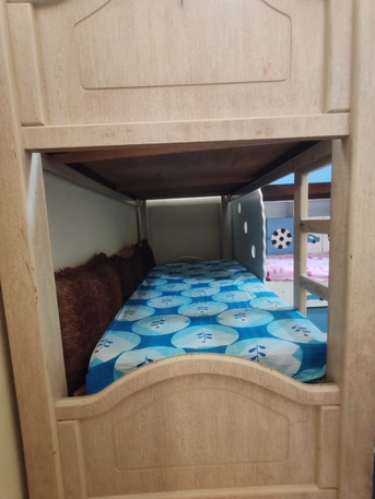 Dammam, Furniture, SAR 500,  King Size Bed & Bunk Bed For Sale