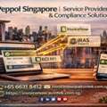 Peppol Singapore | Service Provider & Compliance Solution