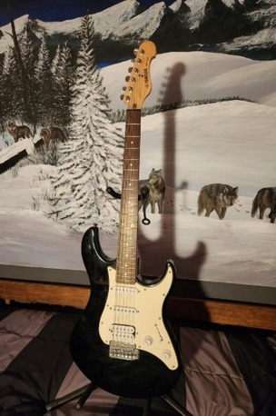 Olaya, Musical Instruments, SAR 670,  YAMAHA EG112C New Guitar 670sr