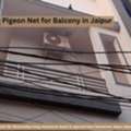 Top Pigeon Net For Balcony In Jaipur For Bird Safety