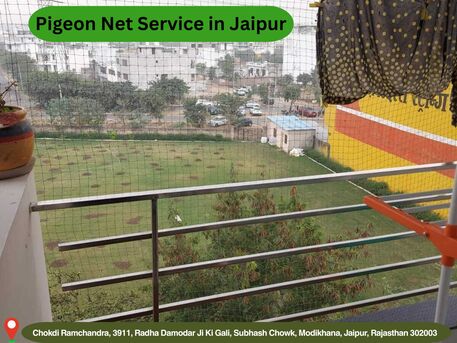 Jaipur, Business, Affordable Pigeon Net Service In Jaipur For Homes
