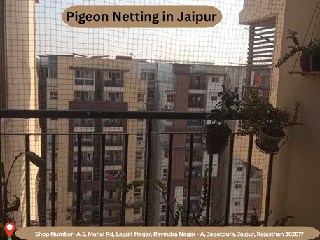 Jaipur, Business, Best Pigeon Netting In Jaipur For Balcony Safety