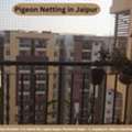 Best Pigeon Netting In Jaipur For Balcony Safety