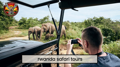 Dar es Salaam, Travel, Trusted Tanzania Safari Companies For Wildlife Adventures
