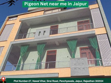 Jaipur, Business, Affordable Pigeon Net Near Me In Jaipur Service