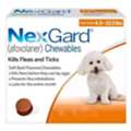 USD 32,  Nexgard For Dogs | Oral Flea & Tick Treatment Chews | Starts At $32.65