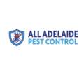 Affordable Ant Pest Control In Adelaide &ndash; Fast & Reliable Service