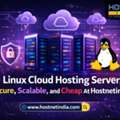 Linux Cloud Hosting Server, Secure, Scalable, And Cheap At Hostnetindia