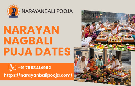 Mumbai, Business, Narayan Nagbali Puja Dates And Best Time For Kaal Sarp Puja