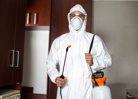 New York, Cleaning, Pest Control Katy TX | The Bug Reaper Experts