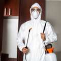 Pest Control Katy TX | The Bug Reaper Experts