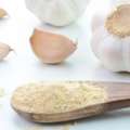 Best Garlic Powder Suppliers In Ahmedabad