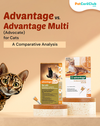 New York, Pet Supplies, USD 33,  Advantage Vs Advantage Multi For Cats - A Detailed Guideline - PetCareClub