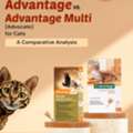 USD 33,  Advantage Vs Advantage Multi For Cats - A Detailed Guideline - PetCareClub
