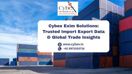 Lucknow, Business, Cybex Exim Solutions: Trusted Import Export Data & Global Trade Insights