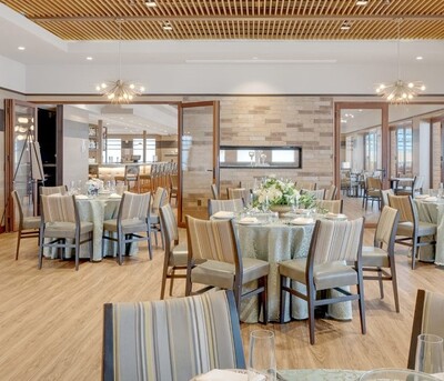 Auckland, Travel, Best Restaurant And Bar Near You