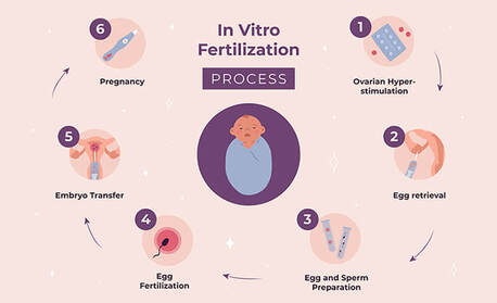 New Delhi, Health, IVF Treatment In Delhi - Dr Rhythm Gupta