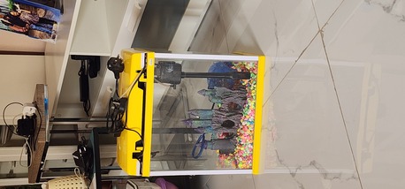 Olaya, Furniture, SAR 100,  Fish Tank With Oxygen Machine