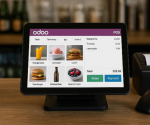 Ahmedabad, ERP, Odoo POS Integration For Retail Business