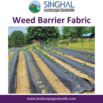 Ahmedabad, Farm & Garden, INR 5000,  Long Lasting Weed Barrier Fabric Ideal For Landscaping Projects