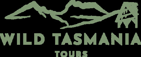 Sydney, Travel, Small Group Wildlife Tours Tasmania: Explore Nature Up Close