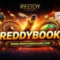INR 100, Reddybook