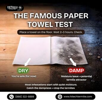 New York, Pest Control, The Famous Paper Towel Test