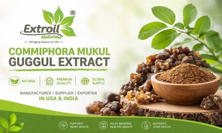 Ahmedabad, Health & Beauty Items, Commiphora Mukul Guggul Extract Supplier USA & India