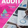 Professional Audit Bahrain