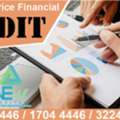 Lowest Price Financial Audit