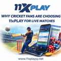 Why Cricket Fans Are Choosing 11xPlay For Live Matches