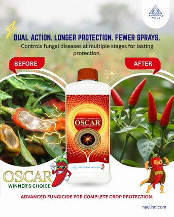 Vijayawada, Farm & Garden, INR 400,  From Disease To Growth &ndash; Best Fungicides For Agriculture | OSCAR By NACL