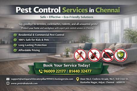 Chennai, Pest Control, Pest Control Chennai | Pest Rid Naturals