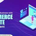 Ecommerce Website Designs Bangalore
