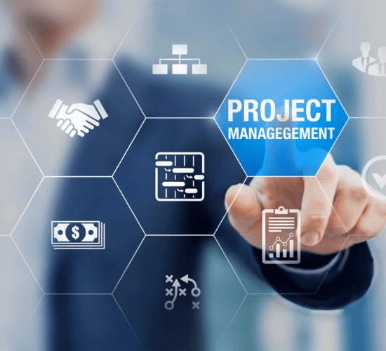 Lucknow, Computer, Best Project Management Software In India