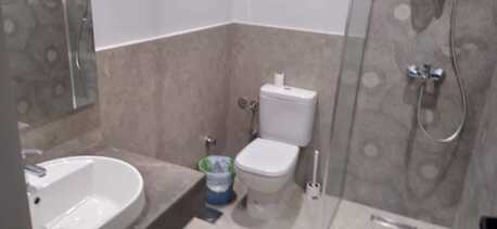 Zamalek, Apartments/Houses, USD 1500/month,  Furnished,  3 BR,  180 Sq. Meter,  Apartment For Rent In Zamalek, Cairo, Egypt