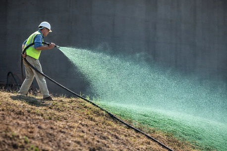 New York, Household, Top Dog Landscaping
