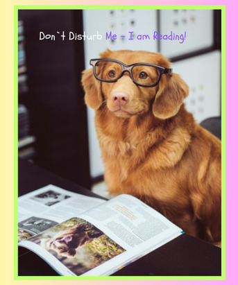 Toronto, Pet Sitting, Dog Training - Train Your Dog To Walk On A Treadmill.