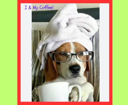 Toronto, Pet Sitting, Dog Training - Train Your Dog To Walk On A Treadmill.