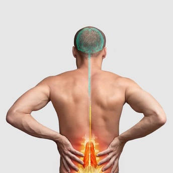 Sydney, Health, Lower Back Rehab Exercises By Mainstay Medical