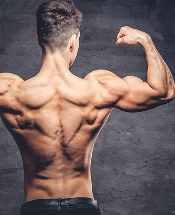 New York, Health, Reach Your Fitness Goals With Expert Training
