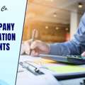 Best Company Incorporation Consultants In Delhi &ndash; Local Experts